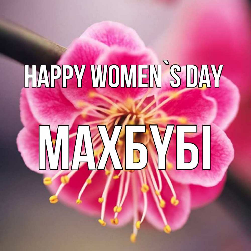 Greetings card с именем, МАХБҮБІ happy women`s day цветы Greetings with text for free download 